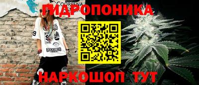 СК Конаково
