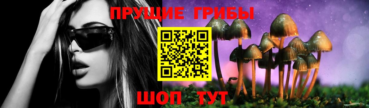 Псилоцибиновые грибы Magic Shrooms Кизилюрт